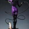 Catwoman_1_6-06.jpg catwoman
