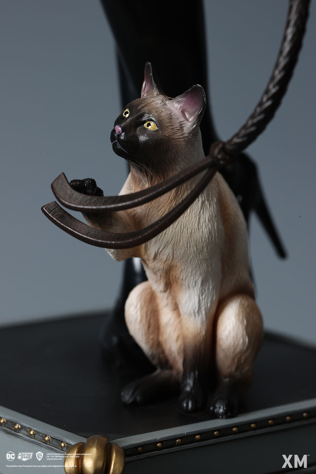 Catwoman_1_6-11.jpg catwoman