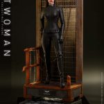 Hot Toys The Dark Knight Trilogy Selina Kyle Catwoman Sixth Scale Figure MMS627