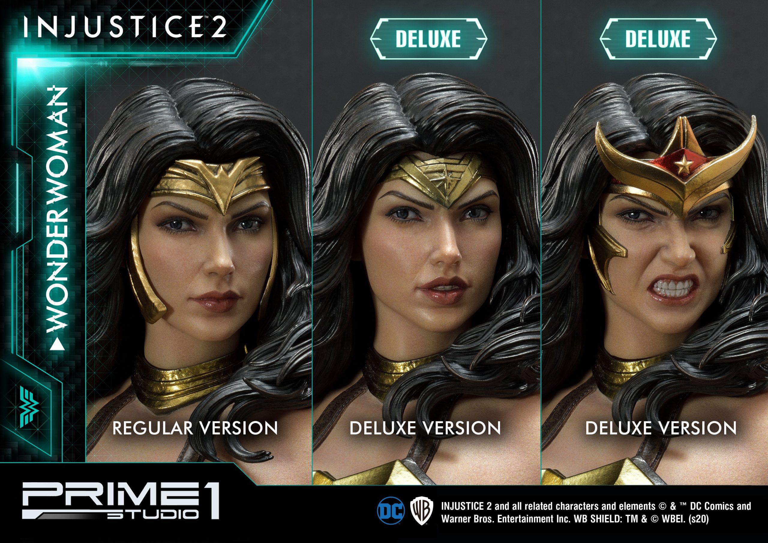 PMDCIJ-06DX_35_2_DXhead.jpg pmdcij dx dxhead scaled