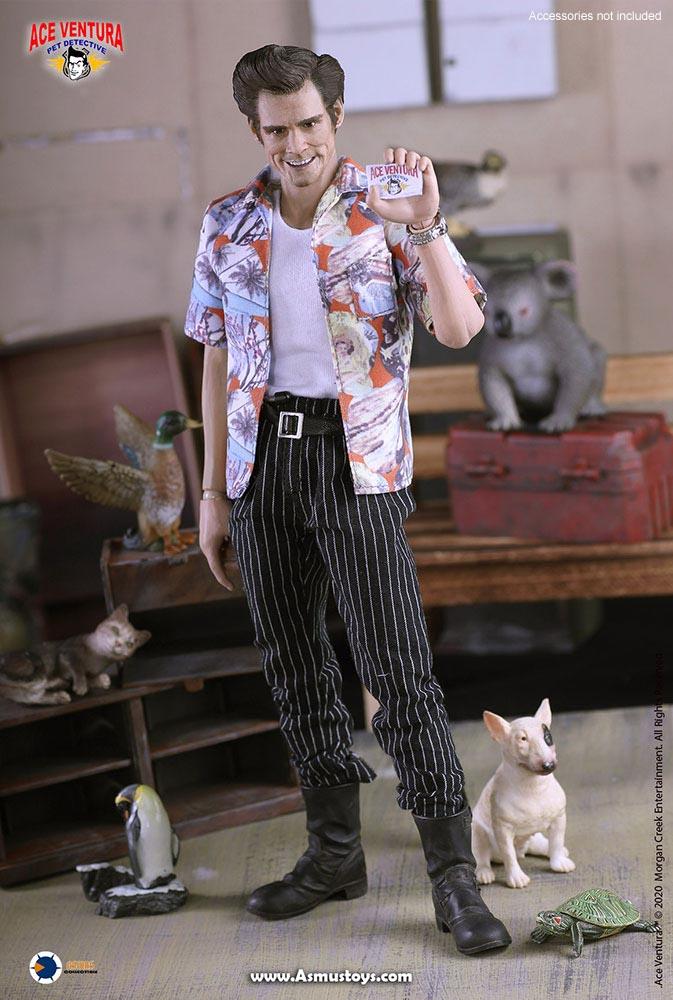 ace ventura ace ventura pet detective gallery f cc d a