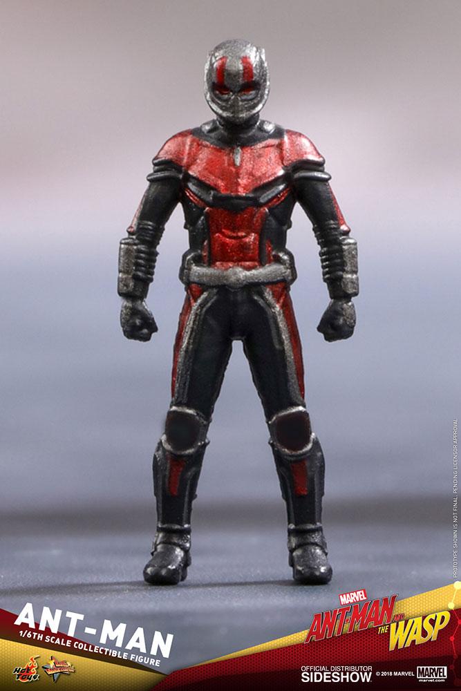 ant man marvel gallery c c b a