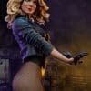 black canary dc comics gallery fb c c