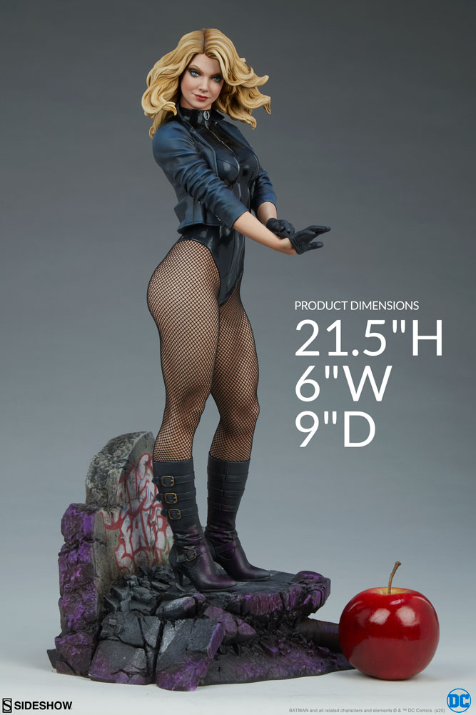 black canary dc comics gallery fb c b cb