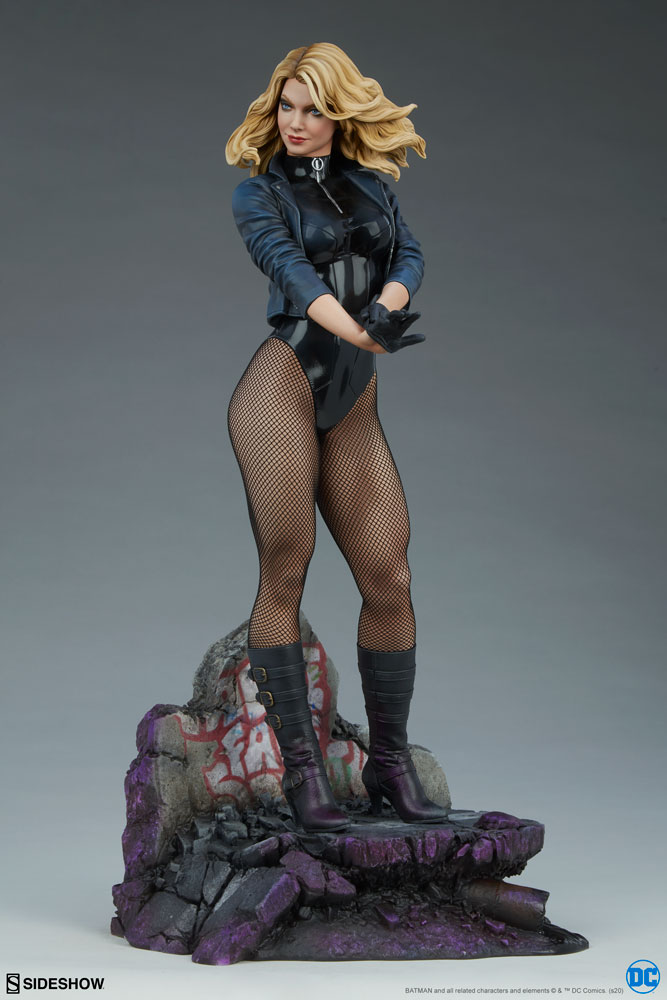 black canary dc comics gallery fb c c