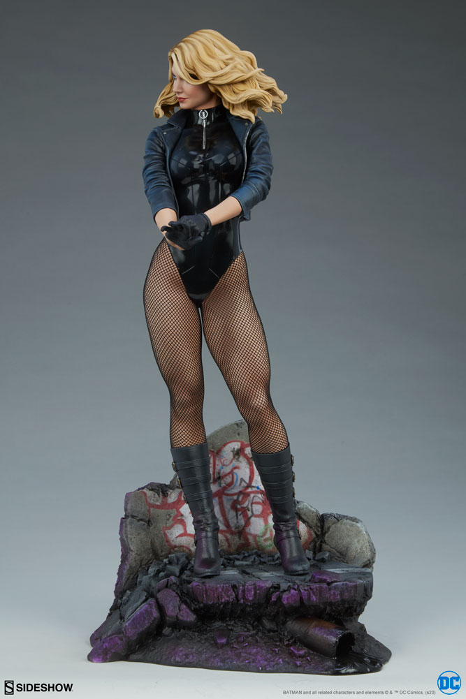 black canary dc comics gallery fb c f