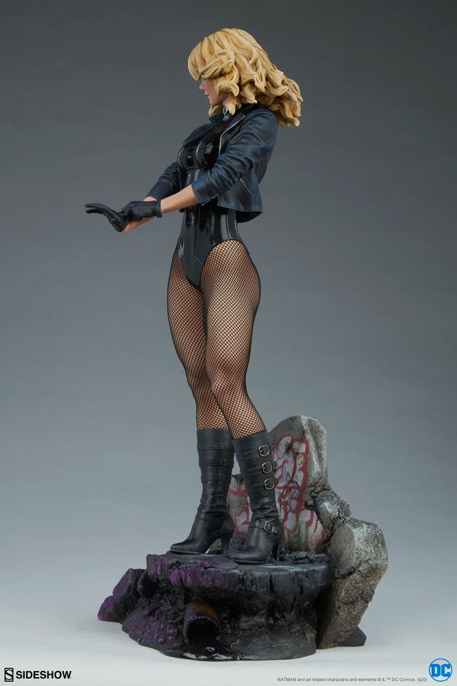 black canary dc comics gallery fb c b af
