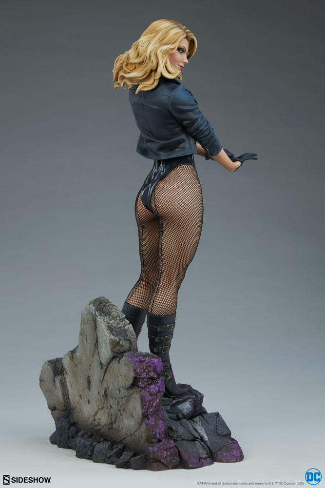 black canary dc comics gallery fb c cd