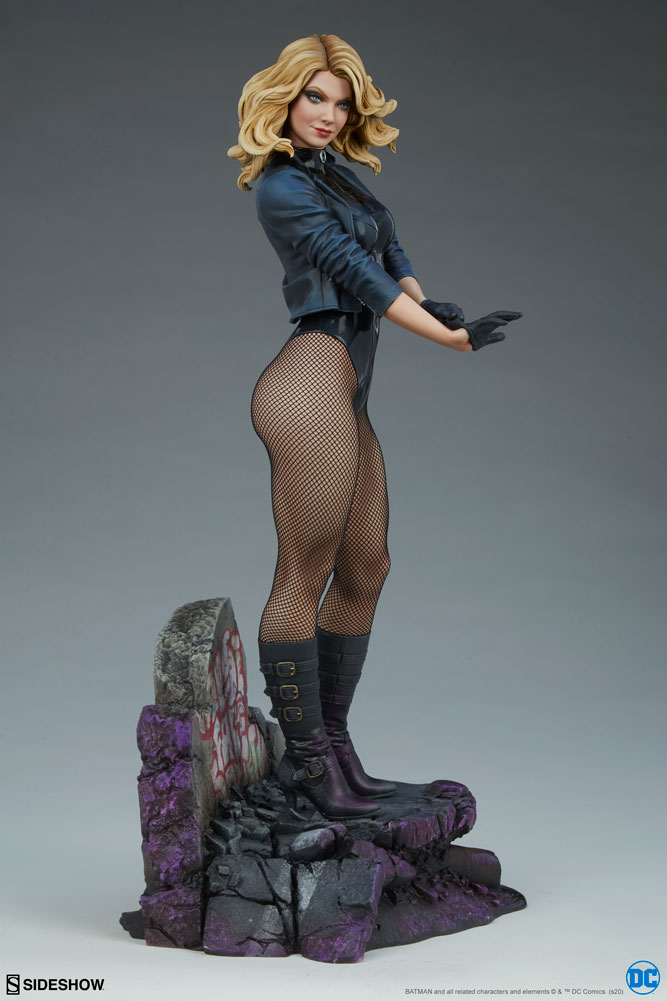 black canary dc comics gallery fb c e