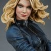 black canary dc comics gallery fb c cc e