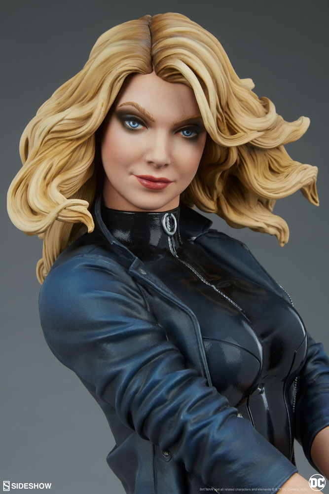 black canary dc comics gallery fb c cc e