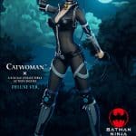 catwoman deluxe version dc comics gallery a b ccd