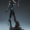 catwoman dc comics gallery e e