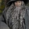 gandalf-the-grey_the-lord-of-the-rings_gallery_5d38e60756f1f.jpg gandalf the grey the lord of the rings gallery d e f f