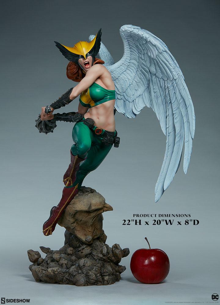 hawkgirl dc comics gallery dd b