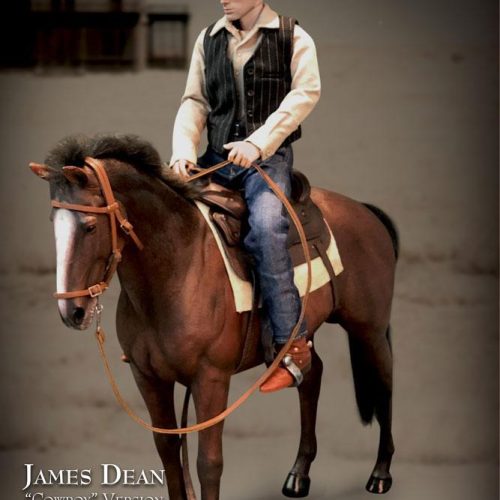 james dean horse james dean gallery f c ea b