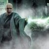 lord voldemort harry potter gallery b d f d e