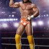macho man randy savage wwe gallery ce f