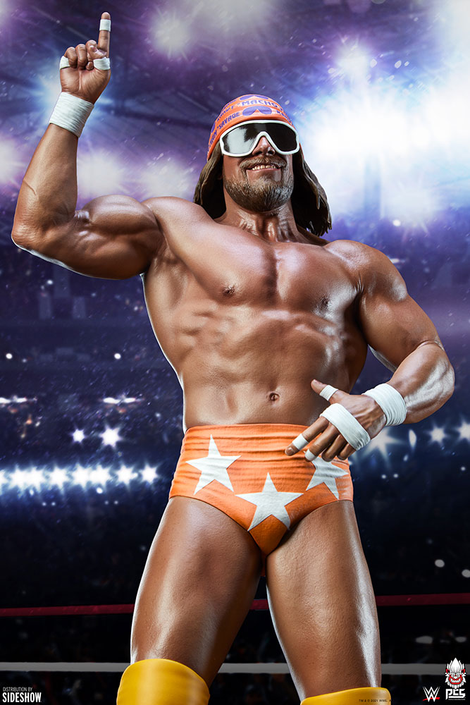 macho man randy savage wwe gallery ce ae c