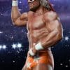 macho man randy savage wwe gallery ce b e