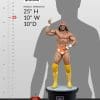 macho man randy savage wwe gallery ce dc