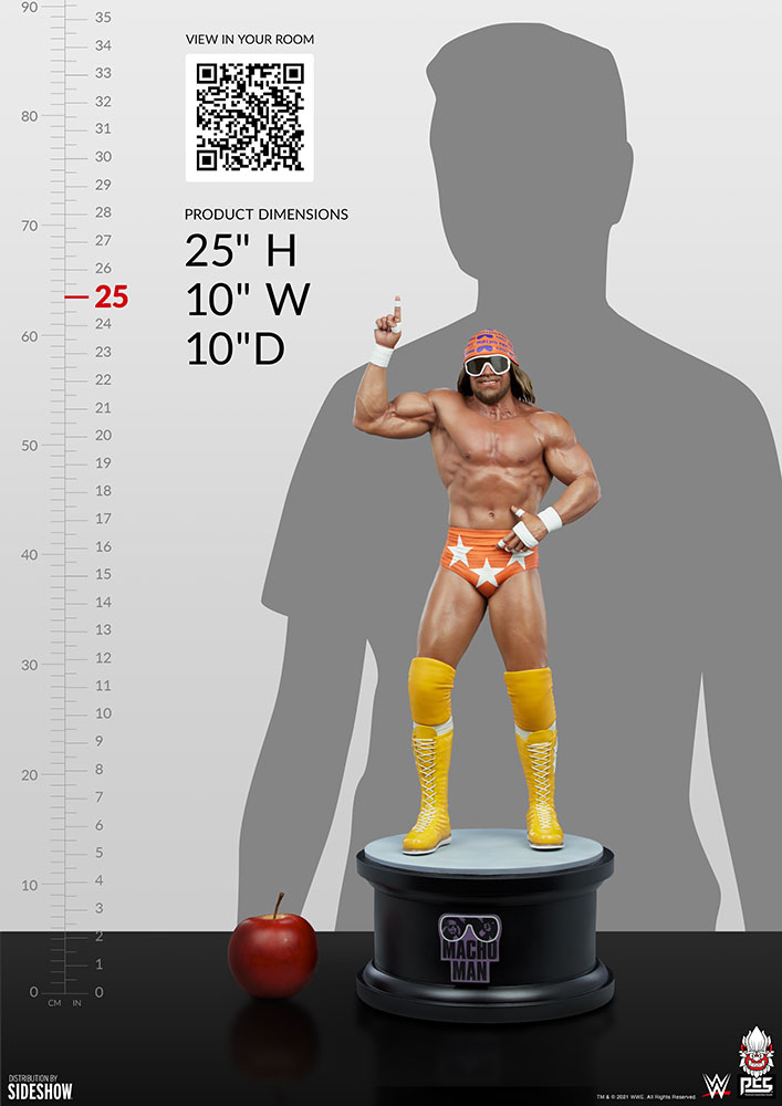 macho man randy savage wwe gallery ce dc