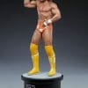 macho man randy savage wwe gallery ce aa