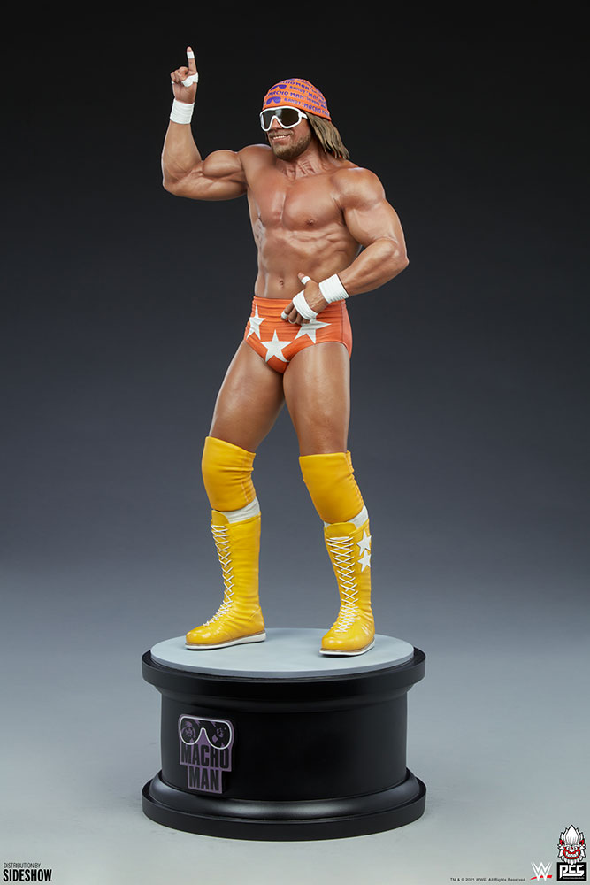 macho man randy savage wwe gallery ce aa