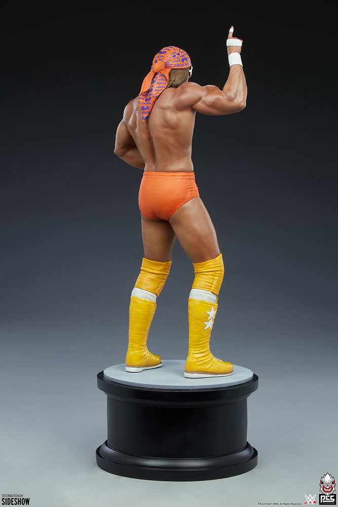 macho man randy savage wwe gallery ce ab dd