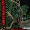 mmpr-01dx_a0007_bonus