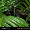 mmpr-01dx_b0118