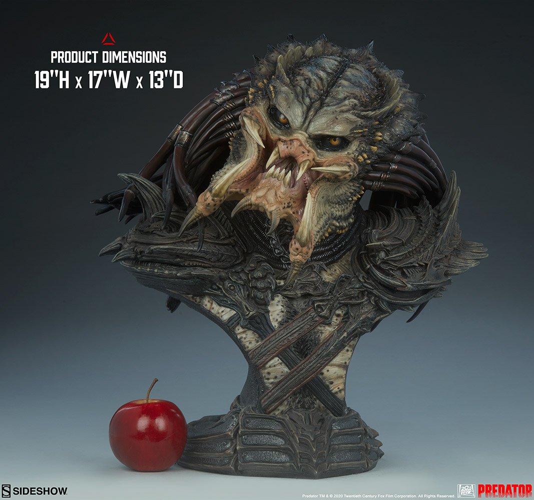 predator-barbarian-mythos_predator_gallery_5f04bd39d0a3f.jpg predator barbarian mythos predator gallery f bd d a f