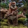 princess leia wicket star wars gallery d d e a