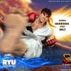 ryu_street-fighter_gallery_6155ee237094e.jpg ryu street fighter gallery ee e