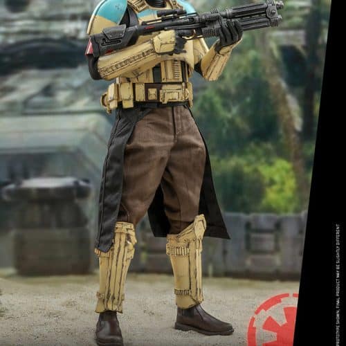 Hot Toys Star Wars Shoretrooper Squad Leader Sixth Scale Figure