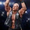 stone cold steve austin wwe gallery c e ec