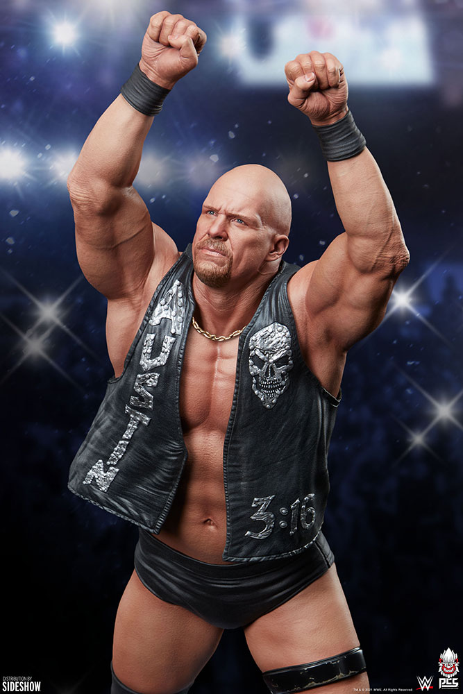 stone cold steve austin wwe gallery c e ec