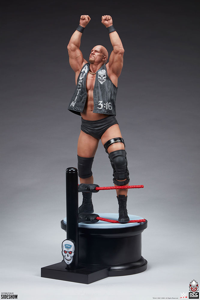stone cold steve austin wwe gallery c f f e