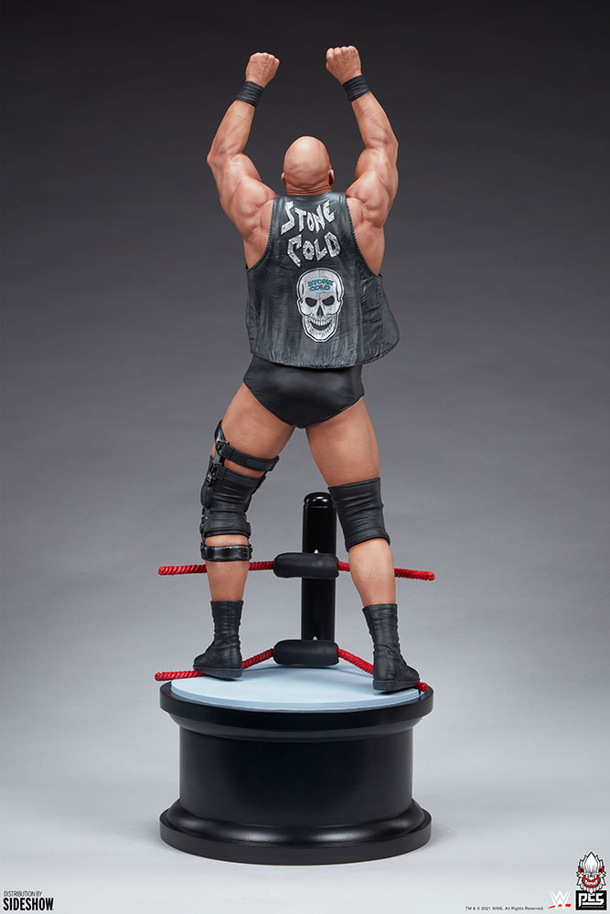 stone cold steve austin wwe gallery c a c a
