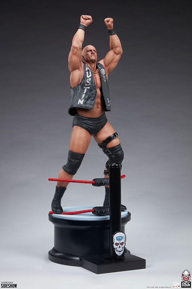 stone cold steve austin wwe gallery c a f