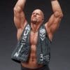 stone cold steve austin wwe gallery c a e