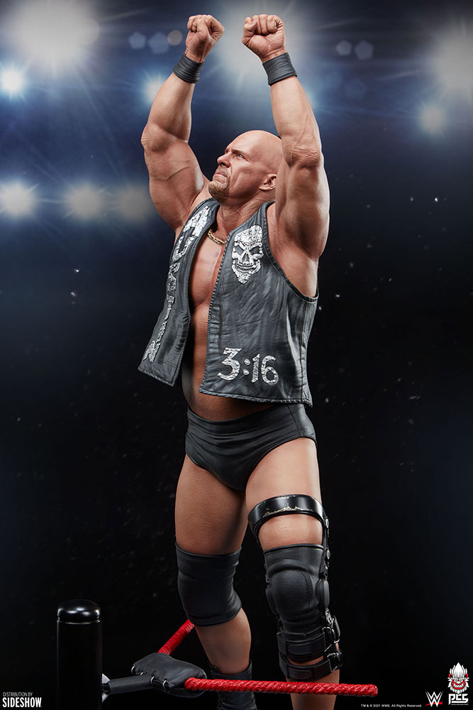 stone cold steve austin wwe gallery c b daf