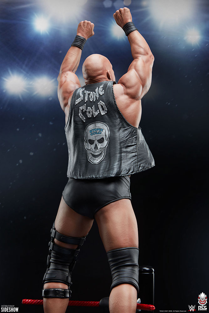 stone cold steve austin wwe gallery c b fd