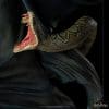 voldemort and nagini harry potter gallery c e a c ab