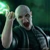 voldemort and nagini harry potter gallery c e be c