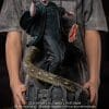 voldemort and nagini harry potter gallery c e c e e