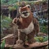 wicket star wars gallery d c