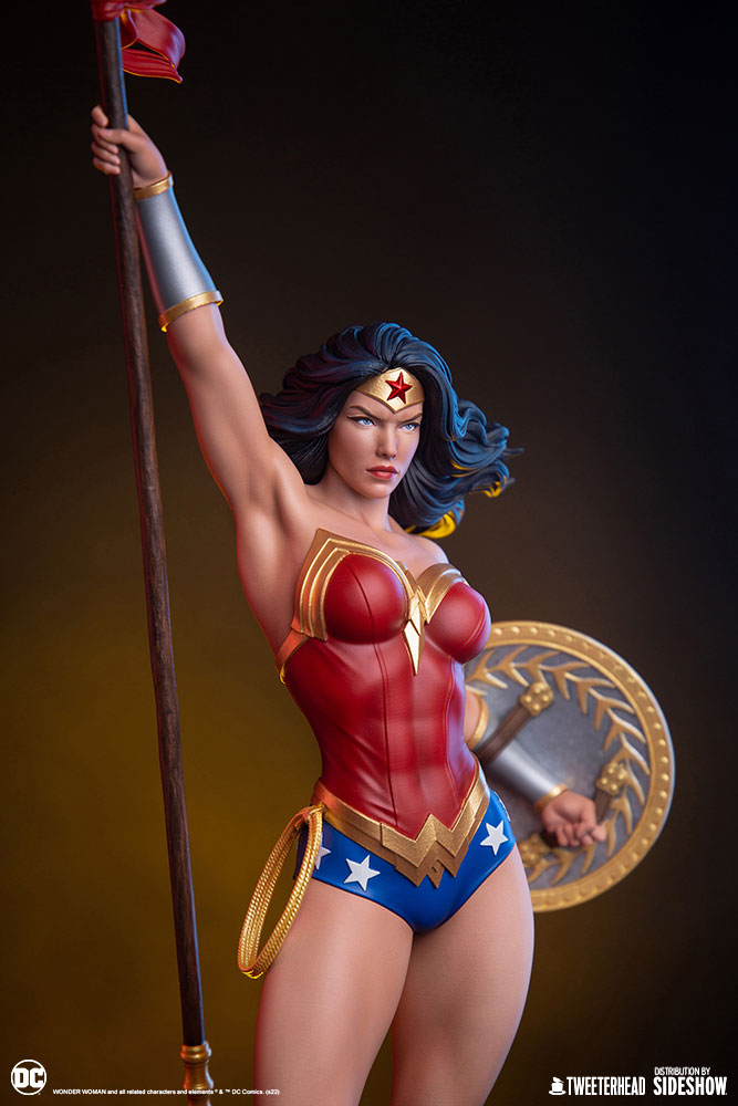 wonder woman dc comics gallery f febd a