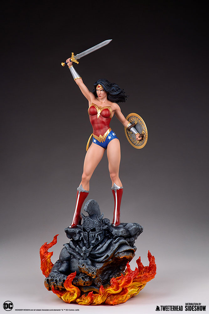 wonder-woman_dc-comics_gallery_61f1febf881b7.jpg wonder woman dc comics gallery f febf b
