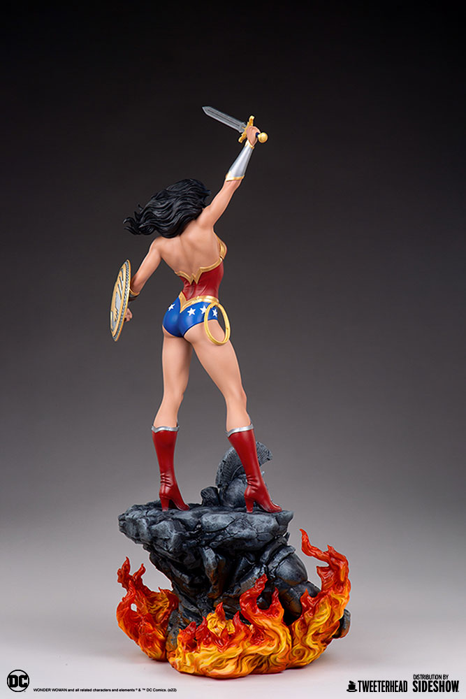 wonder-woman_dc-comics_gallery_61f1fec0d03bb.jpg wonder woman dc comics gallery f fec d bb